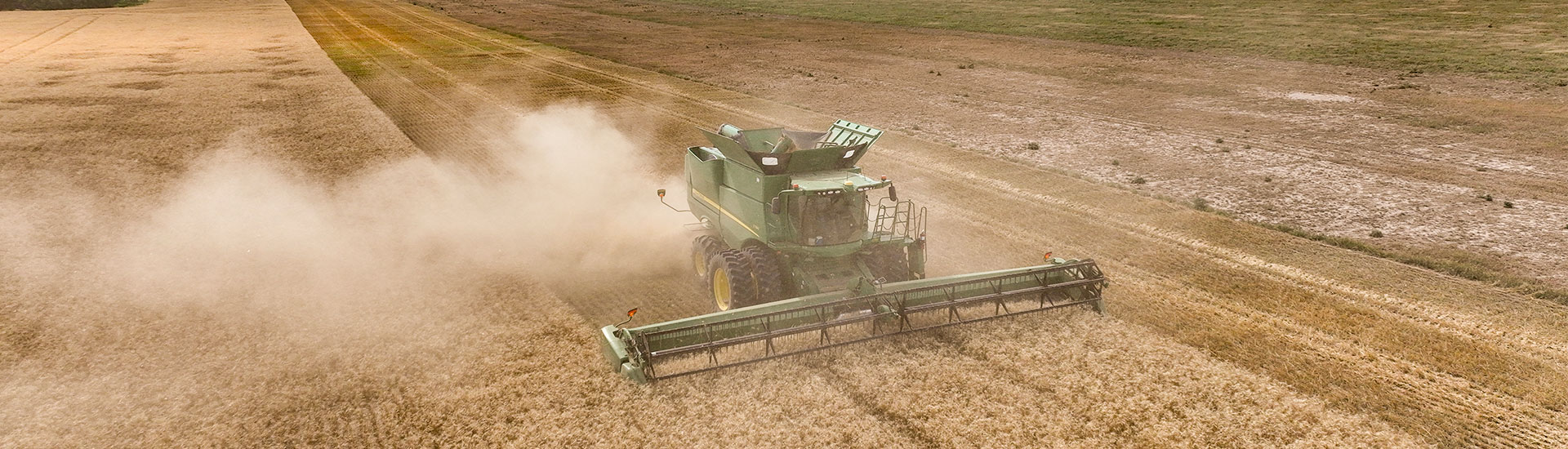 combine in a field during harvest