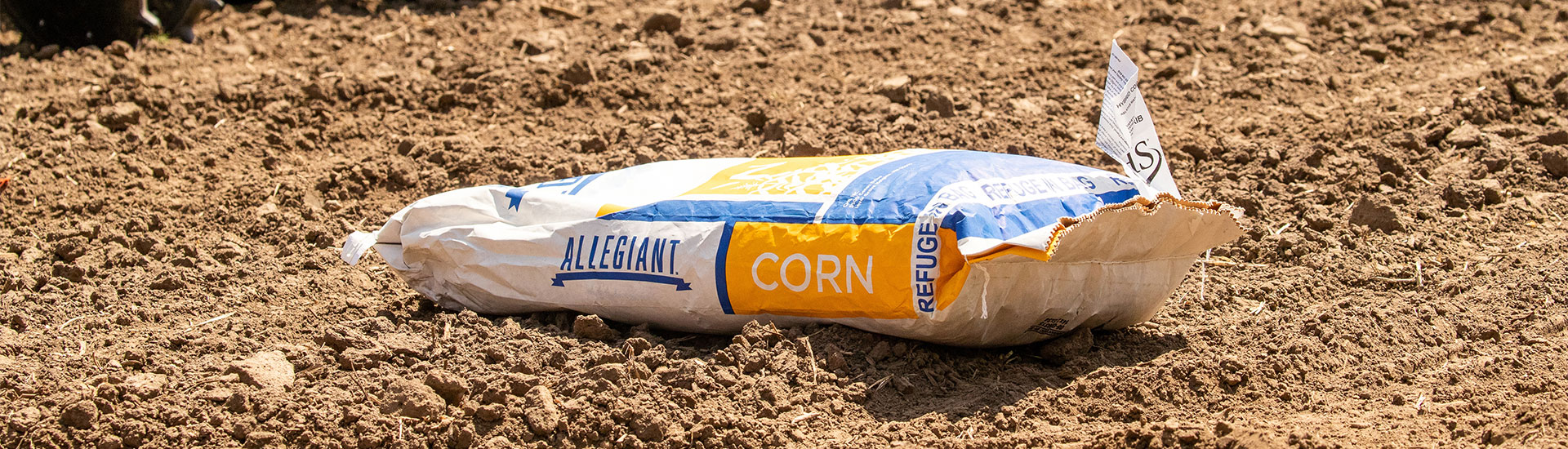Allegiant seed corn bag