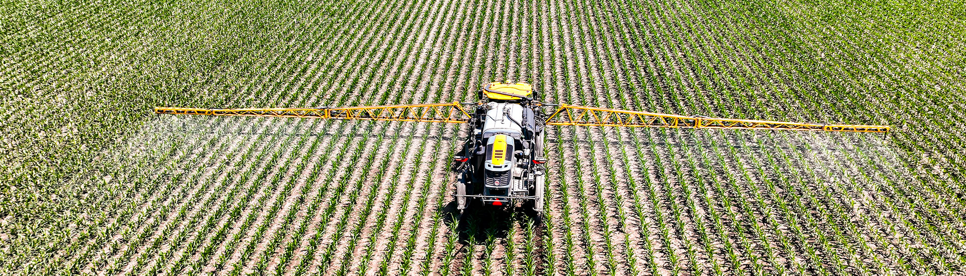 Sprayer in a field